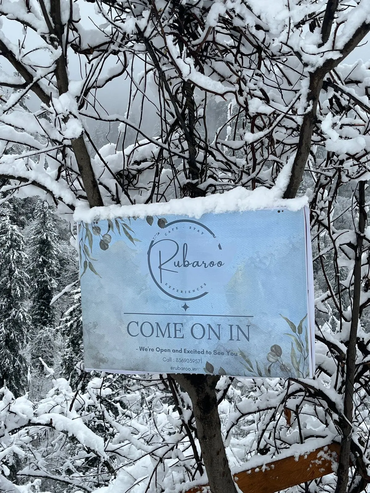Entry to Rubaroo mountain retreat, Jibhi, Himachal Pradesh