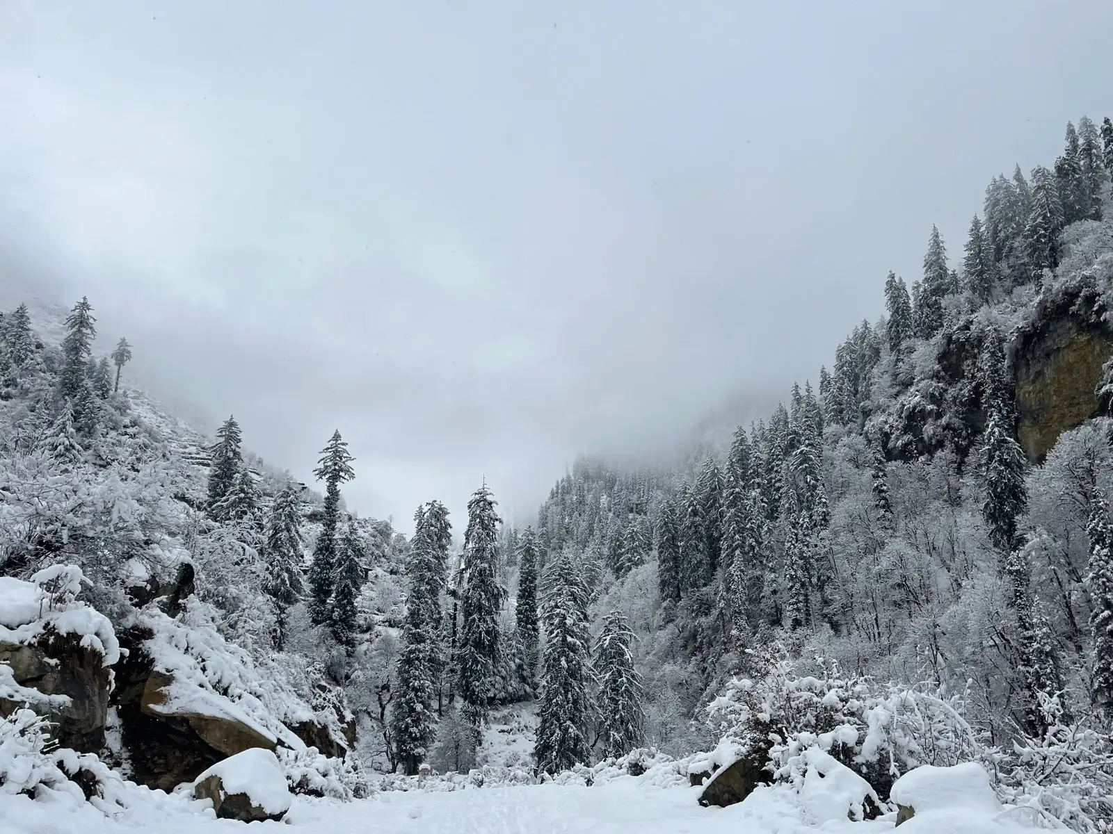 Snowy Himalayan mountains near Rubaroo, Jibhi